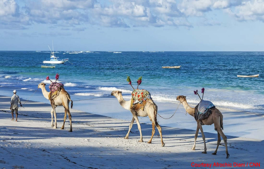 5 Hidden facts about Diani Beach