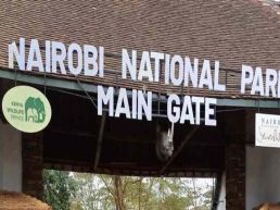 Nairobi National Park Private Tour with Free Airport Drop off