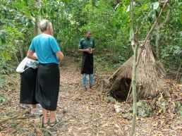 Diani Beach: Kaya Kinondo Forest Cultural and Nature Experience