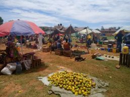 Diani Afternoon Unique Market walking Tour