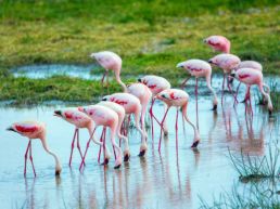 Hell's Gate National Park-Lake Naivasha National Park