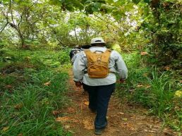 From Nairobi: Adventure tour in the Aberdare mountains