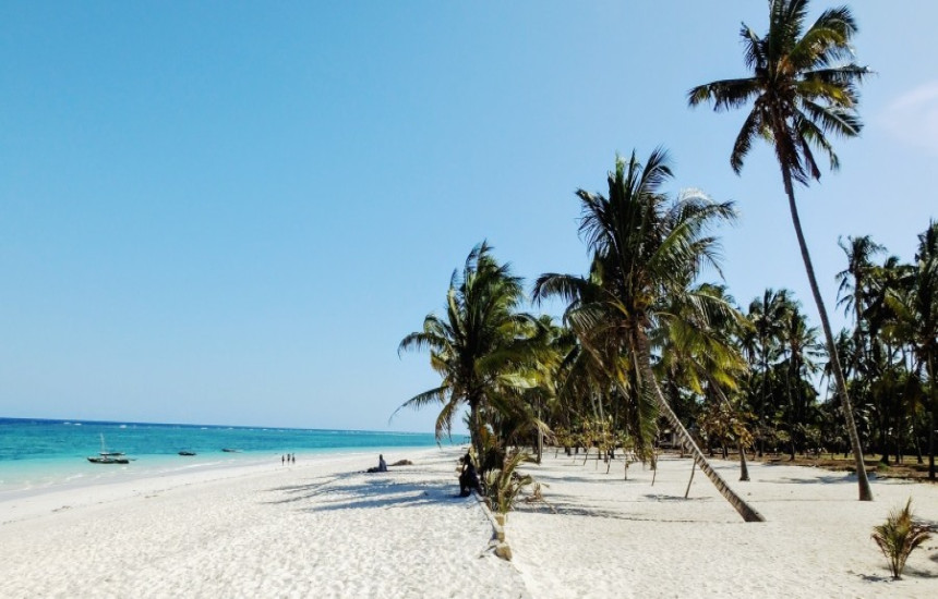 Excursions in Diani Beach &amp; Mombasa Day Tours