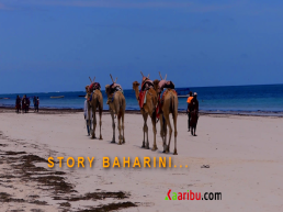 Stori Baharini: Story telling walking tour in Diani Beach