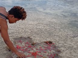 6-Hour Guided African Pool Tour with Snorkeling Experience