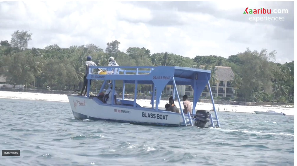 Diani Beach: Glass-Bottom Boat Cruise to Robinson Island
