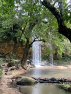 Shimba Hills National Reserve