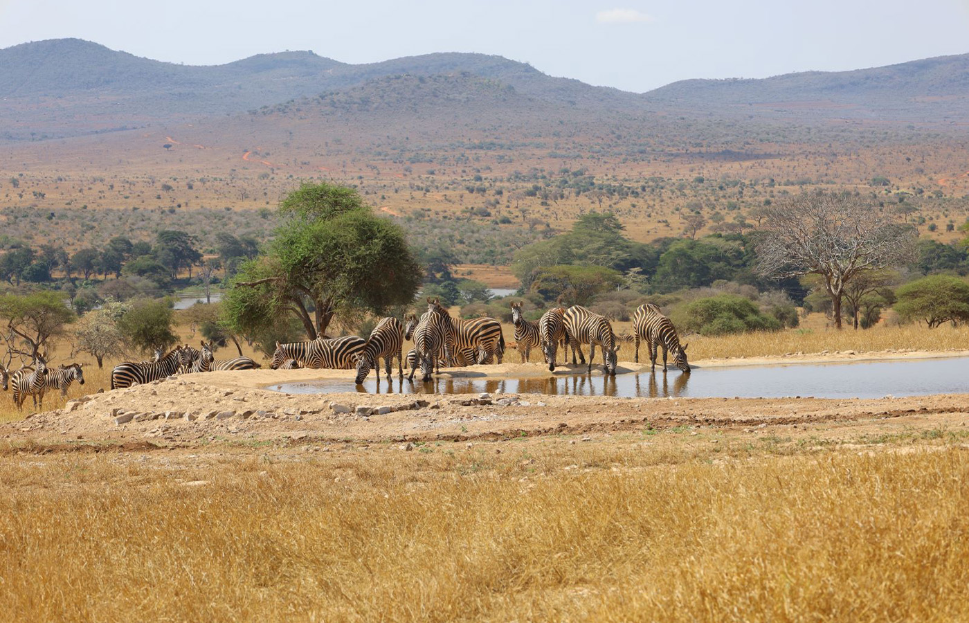 Taita Hills Wildlife Sanctuary
