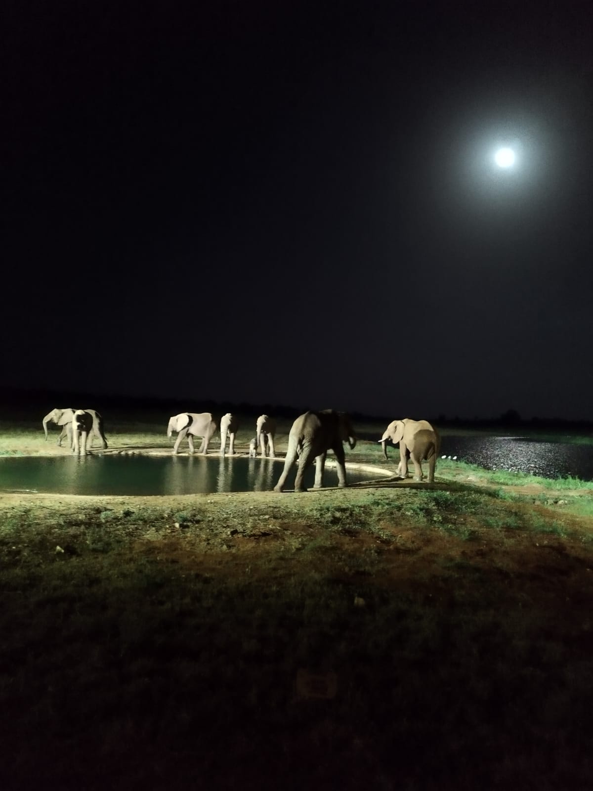 Tsavo East National Park